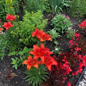 Meet your Posher, Jade